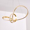 Woyens Hanglamp LED Goud, 1-licht