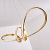 Woyens Hanglamp LED Goud, 1-licht