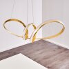 Woyens Hanglamp LED Goud, 1-licht