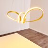 Woyens Hanglamp LED Goud, 1-licht