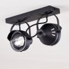 Rahway Plafondlamp Zwart, 2-lichts