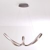 Woyens Hanglamp LED roestvrij staal, 1-licht