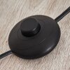 Pralo Staande lamp Zwart, 1-licht