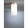 Tecnolumen DMB 31 Plafondlamp Nikkel mat, 1-licht