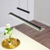 Junsele Hanglamp LED Zwart, 1-licht