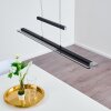 Junsele Hanglamp LED Zwart, 1-licht