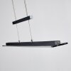 Junsele Hanglamp LED Zwart, 1-licht