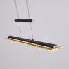 Junsele Hanglamp LED Zwart, 1-licht