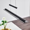 Junsele Hanglamp LED Zwart, 1-licht