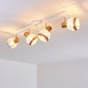 Bariloche Plafondlamp Chroom, Wit, 4-lichts