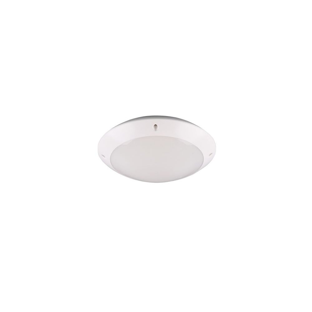 Reality CAMARO Buitenshuis plafond verlichting Wit, 1-licht main product photo