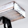 Berkeley Plafondlamp Goud, Wit, 4-lichts