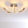 Woyens Plafondlamp LED roestvrij staal, 1-licht