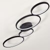 Rodekro Plafondlamp LED Zwart, 1-licht