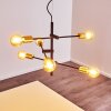 Coppet Hanglamp Zwart-Goud, 6-lichts