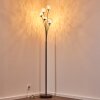 Kitee Staande lamp Bruin, 6-lichts