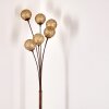 Kitee Staande lamp Bruin, 6-lichts