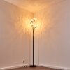 Kitee Staande lamp Bruin, 6-lichts