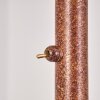 Kitee Staande lamp Bruin, 6-lichts