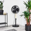 Markham Ventilator Hout licht, Zwart
