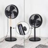 Markham Ventilator Hout licht, Zwart