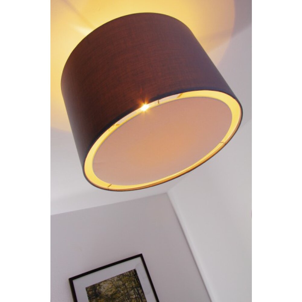 Brilliant Clarie Plafondlamp roestvrij staal, 1-licht main product photo