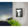 Eglo TREVIOLO Muurlamp LED Antraciet, 2-lichts