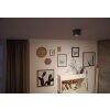 Philips Box Plafondlamp LED Zwart, 1-licht
