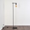 Pamunkey Staande lamp Zwart, 1-licht