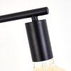 Pamunkey Staande lamp Zwart, 1-licht