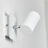 Zuoz Muurspot Wit, 1-licht