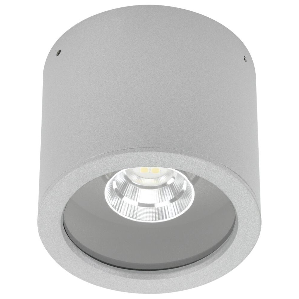 Albert 2319 Plafond opbouw verlichting LED Zilver, 1-licht main product photo