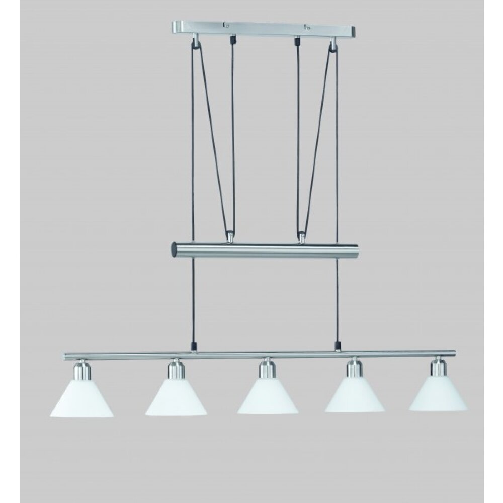 Trio STAMINA Hanglamp roestvrij staal, Nikkel mat, 5-lichts main product photo