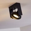 Grytgol Plafondlamp Zwart, 1-licht