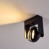 Grytgol Plafondlamp Zwart, 1-licht