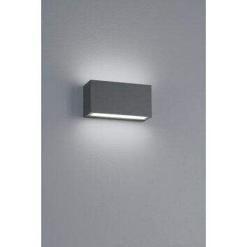 Trio TRENT Buiten muurverlichting LED Antraciet, 1-licht