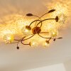 Virga Plafondlamp Bruin, 6-lichts