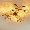 Virga Plafondlamp Bruin, 6-lichts