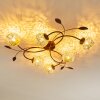 Virga Plafondlamp Bruin, 6-lichts