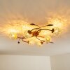 Virga Plafondlamp Bruin, 6-lichts
