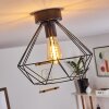 Cenova Plafondlamp Zwart, 1-licht