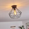 Cenova Plafondlamp Zwart, 1-licht