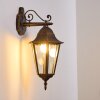 Hongkong Buiten muurverlichting Bruin, Goud, 1-licht