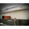 Trio ALINO Muurlamp LED Titan, 1-licht