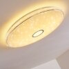 Cirque Plafondlamp LED Chroom, 1-licht, Afstandsbediening, Kleurwisselaar