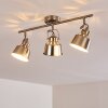 Safari Plafondlamp Chroom geborsteld, 3-lichts