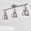 Safari Plafondlamp Chroom geborsteld, 3-lichts