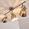 Safari Plafondlamp Chroom geborsteld, 3-lichts