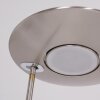 Steinhauer Zenith Staande lamp LED roestvrij staal, 1-licht