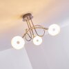 Donot Plafondlamp LED Nikkel mat, 3-lichts
